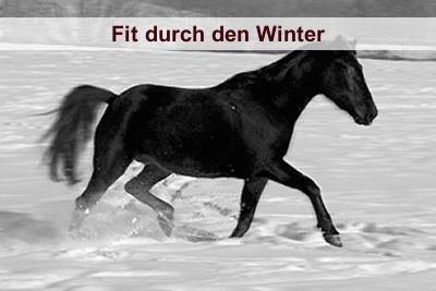 Fit durch den Winter