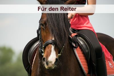 Für den Reiter