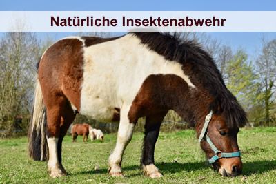 natürliche Insektenabwehr